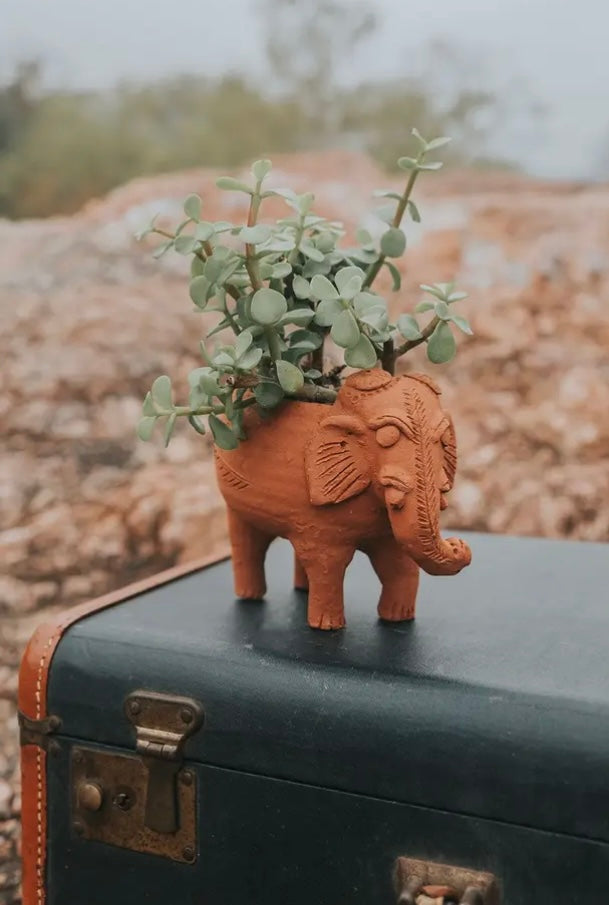 Terracotta Plant Pot, Fair Trade