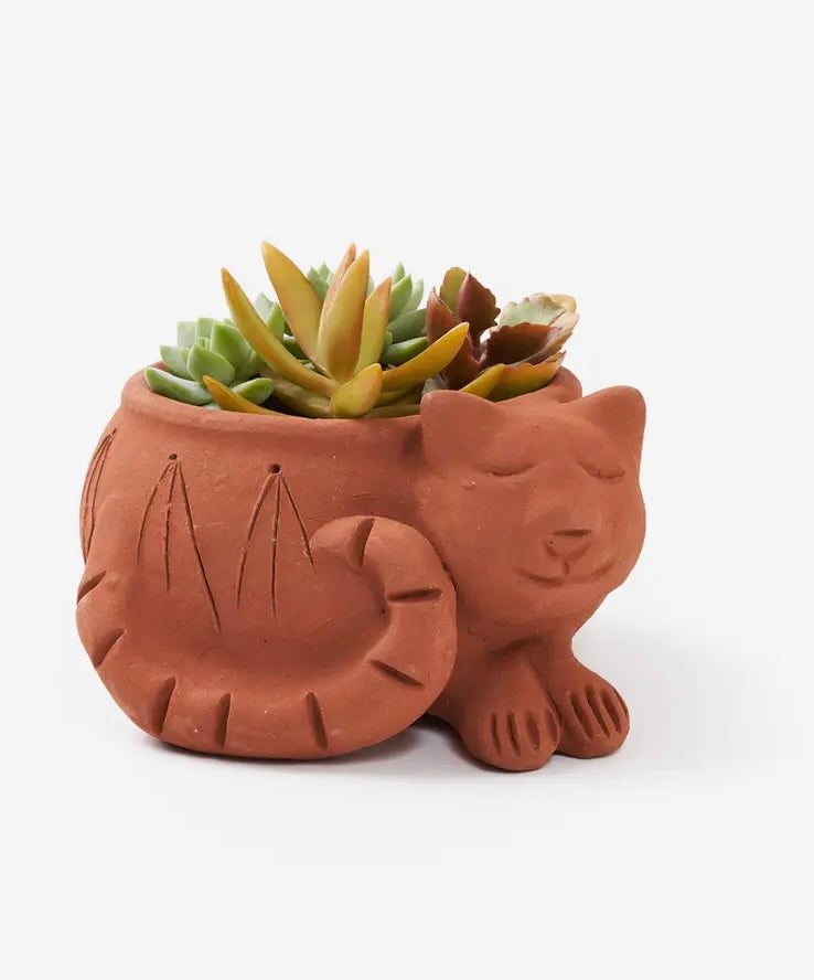 Terracotta Plant Pot, Fair Trade