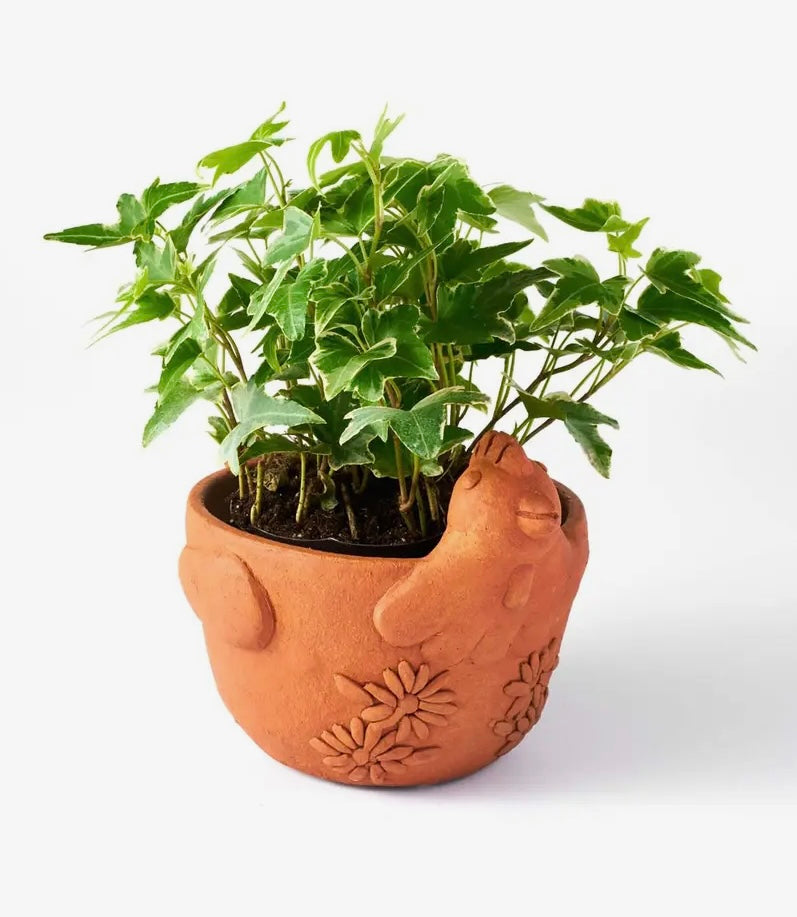 Terracotta Plant Pot, Fair Trade
