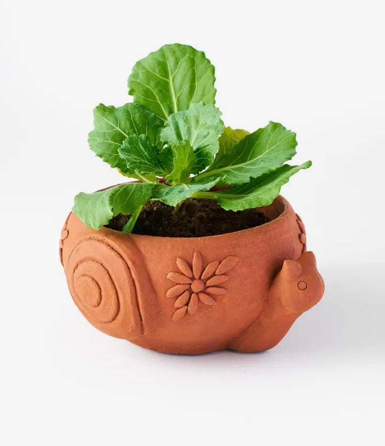 Terracotta Plant Pot, Fair Trade