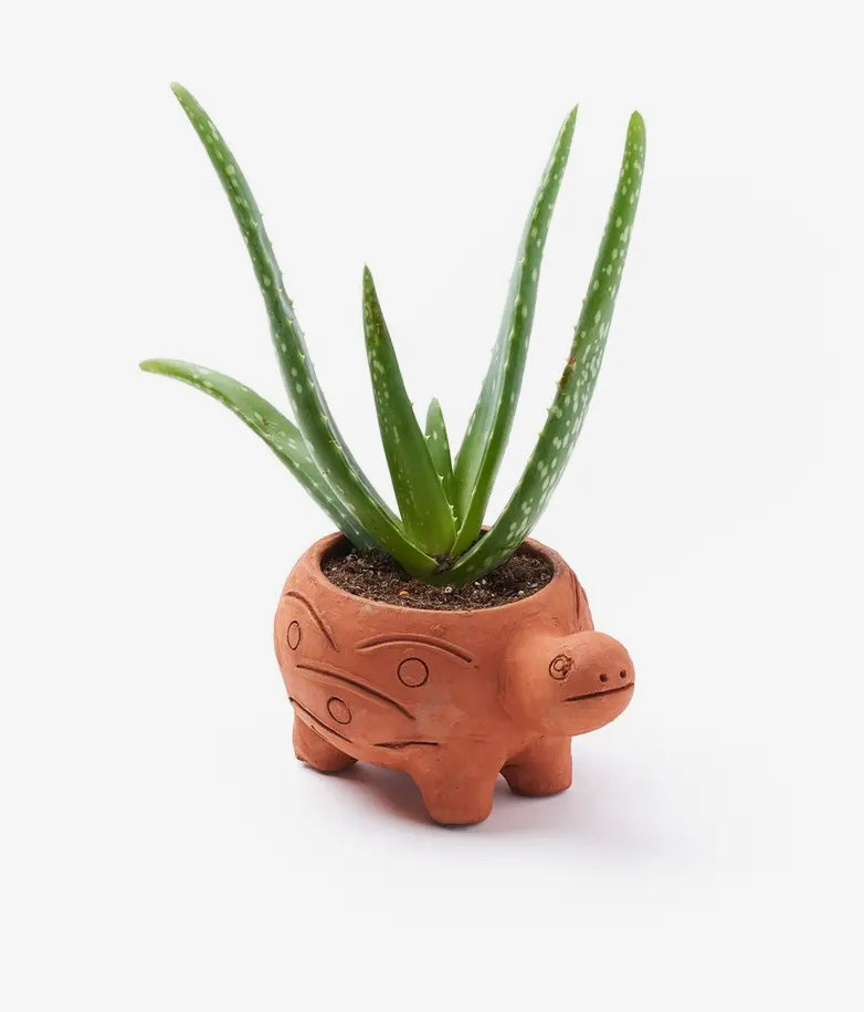 Terracotta Plant Pot, Fair Trade