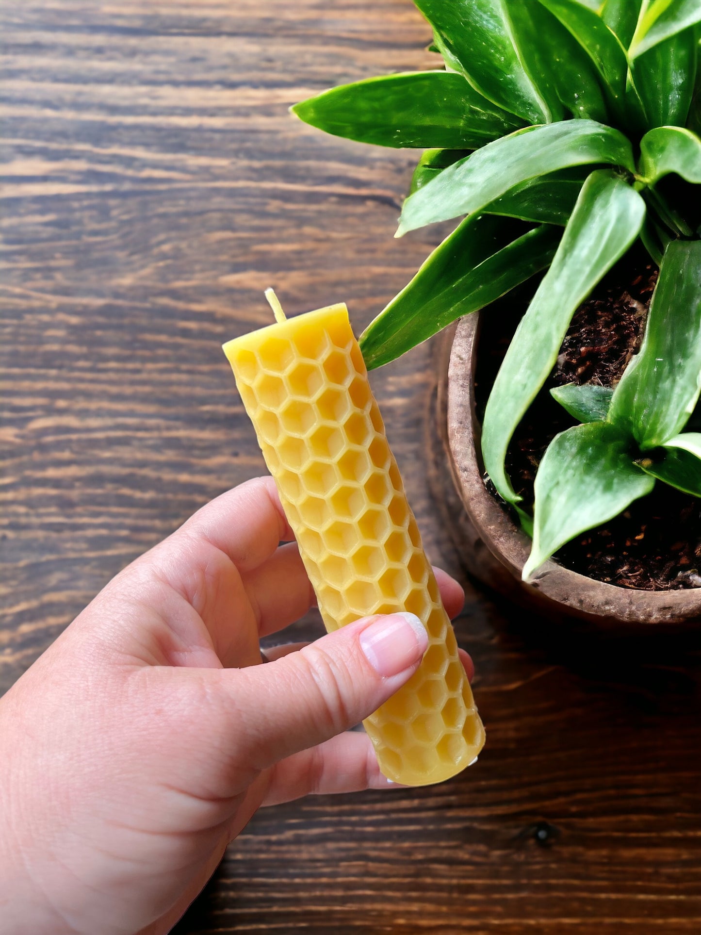 Honeycomb Beeswax Candle, Small