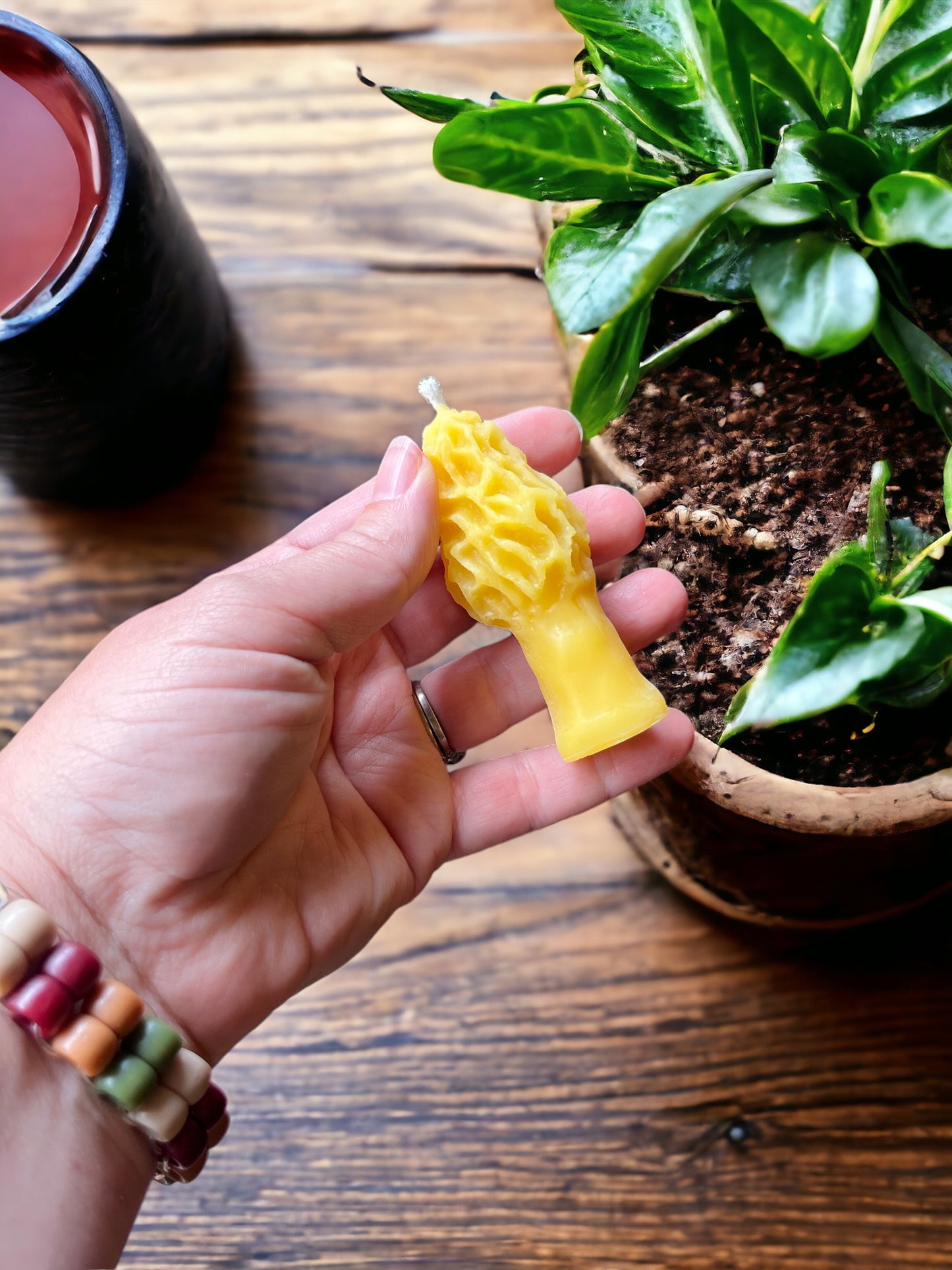 Morel Beeswax Candle, Small