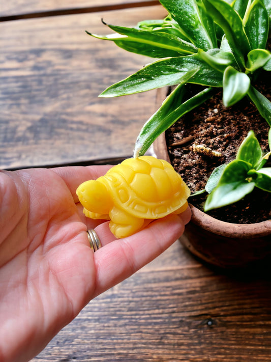 Turtle Beeswax Candle